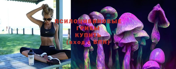 прущая мука Алексин