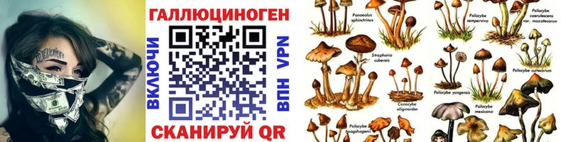Псилоцибиновые грибы Magic Shrooms  сколько стоит  Опочка 